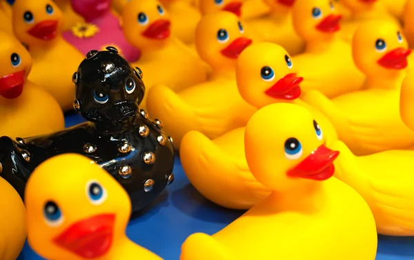 Verschiedene schwarze Gummienten zwischen gelben Enten Stockbild