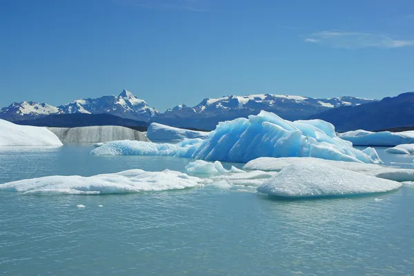 Glaciärnationalpark, patagonien, argentina Stockfoto