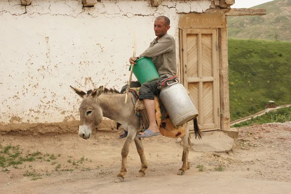 Hombre montando burros, Montañas Hissar, Uzbekistán —  Fotos de Stock