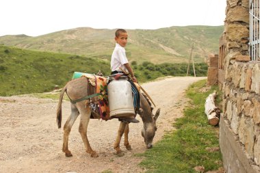 eşek sürme çocuk, hissar dağlar, Özbekistan