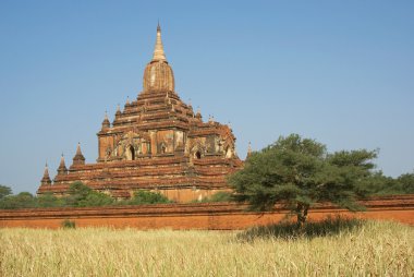 sulamani Tapınağı, bagan, myanmar