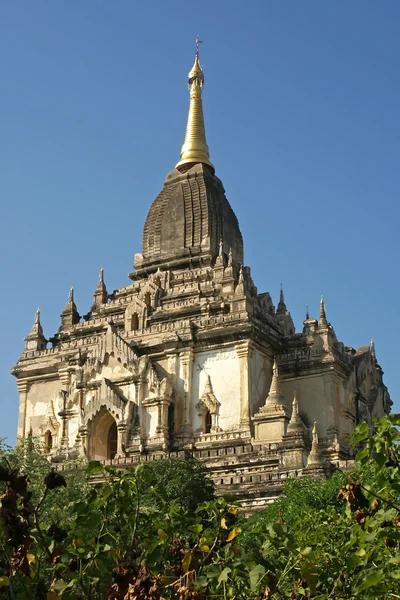 Gawdawpalin świątyni, bagan, myanmar — Zdjęcie stockowe