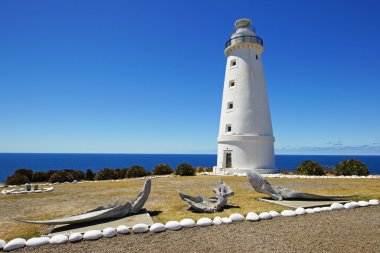 Cape willoughby, Avustralya