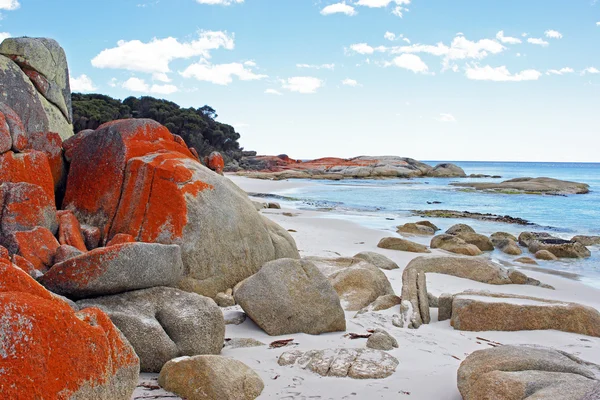 Bay of Fires, Tasmania, Australia — Stock Photo, Image