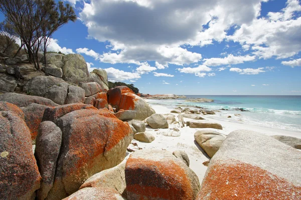 Eldbukten, Tasmanien, Australien — Stockfoto