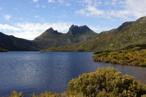 Cradle mountain np, Australien — Stockfoto