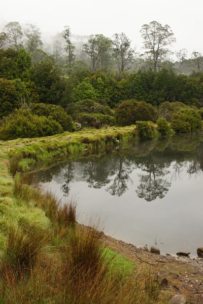 Np cradle mountain, Australien — Stockfoto