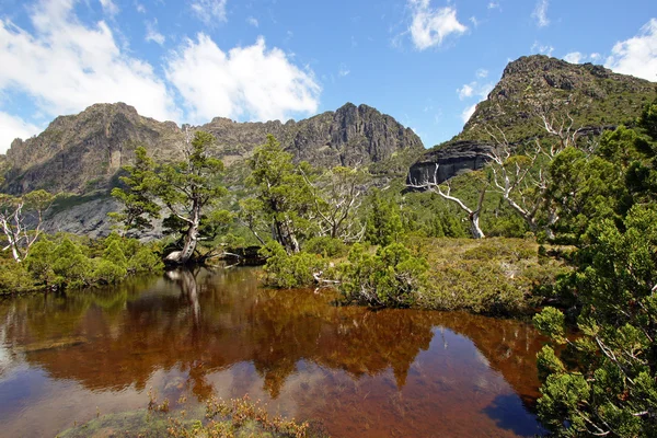 Cradle mountain np, Australien — Stockfoto
