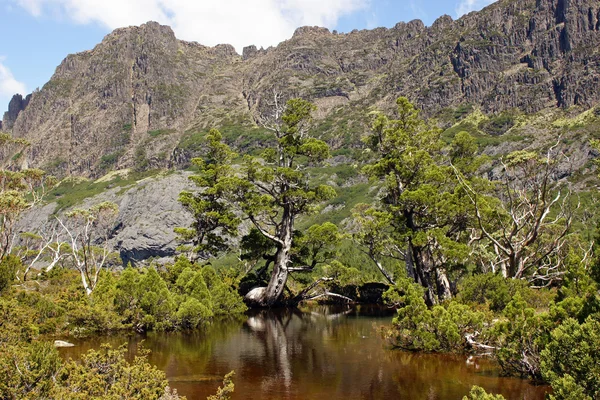 Cradle Mountain NP, Australia — Stock Photo, Image