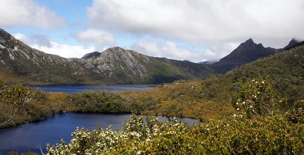 Cradle Mountain NP, Austrália — Fotografia de Stock