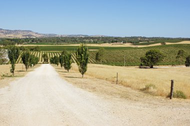 Barossa valley, Avustralya
