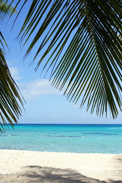 Caribbean Beach, Dominican Republic — Stock Photo, Image