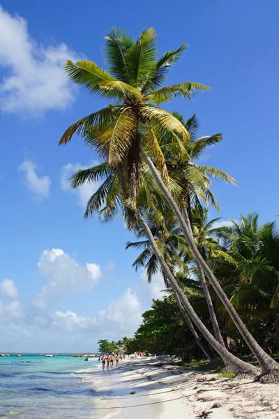 Playa del Caribe, República Dominicana — Foto de Stock