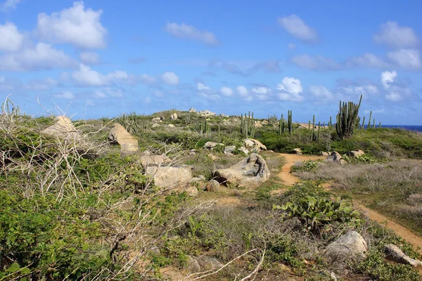 Krajobraz z Aruby, Wysp abc — Zdjęcie stockowe