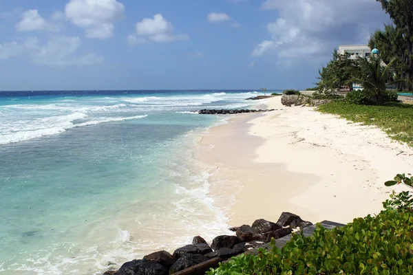 Barbados, Karibik — Stockfoto