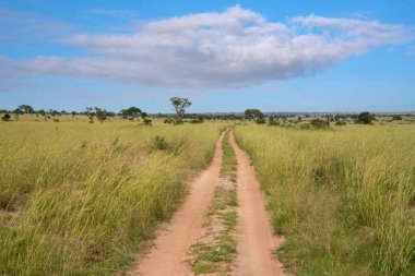 Murchison Falls Ulusal Parkı, Uganda manzarasına panoramik manzara