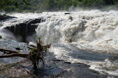Murchison Falls, Uganda 'nın panoramik manzarası