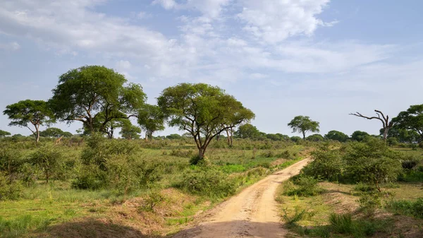 Vista Panorámica Panorámica Del Paisaje Del Parque Nacional Murchison Falls —  Fotos de Stock