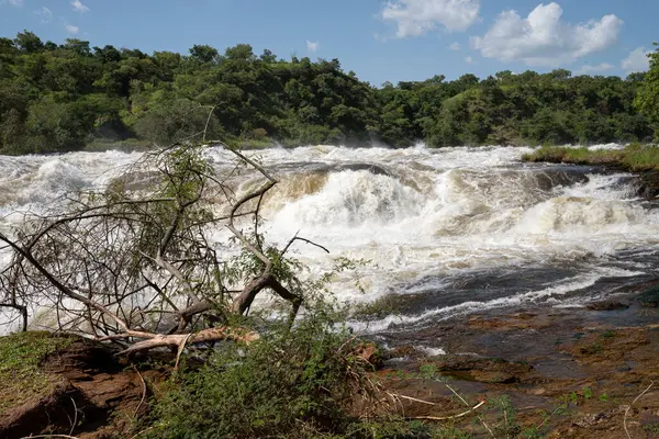 Панорамний Краєвид Водоспаду Мерчісон Уганді — стокове фото