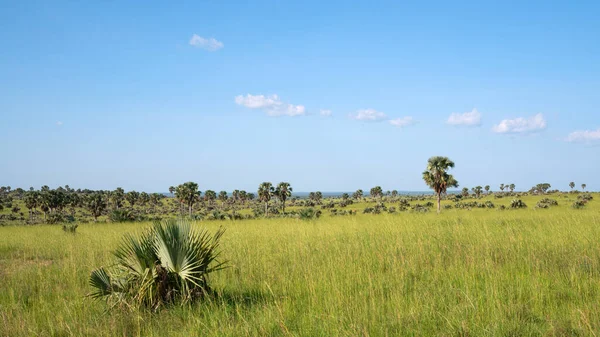 Vue Panoramique Sur Paysage Parc National Des Chutes Murchison Ouganda — Photo