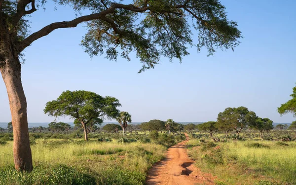 Panoramablick Die Landschaft Des Murchison Falls National Park Uganda — Stockfoto