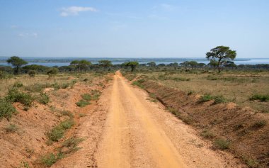 Murchison Falls Ulusal Parkı, Uganda 'nın çevresindeki toprak yol.