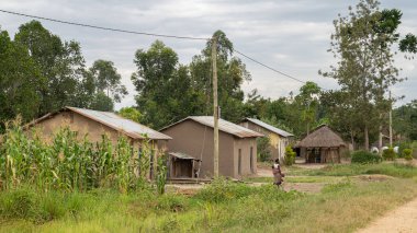 ISHASHA, UGANDA - 7 Haziran 2021: Tipik Afrika köyü 7 Haziran 2021 Uganda, Doğu Afrika