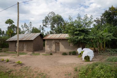 Tipik Afrika köyü, Uganda, Doğu Afrika