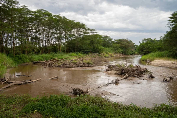 东非乌干达Ishasha国家公园的全景 — 图库照片