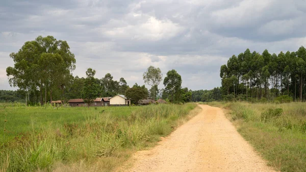 Pueblo Típico Africano Uganda África Oriental —  Fotos de Stock