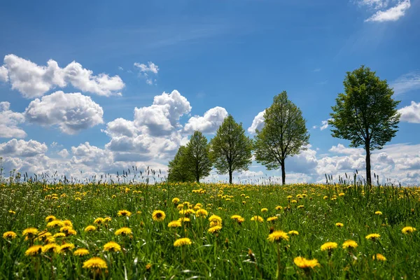 Panoramic Landscape Meadow Clouds Blue Sky Springtime Bergisches Land Germany — Stock Photo, Image