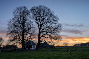 Gün doğumunda ağaçların altındaki küçük şapelin panoramik görüntüsü, Bergisch Gladbach, Almanya