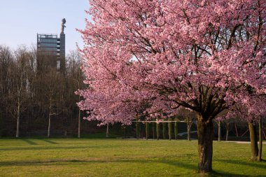 ESSEN, GERMANY - 25 Mart 2022: Nordsternpark, Ruhr Metropolis 'in sanayi mirası 25 Mart 2022