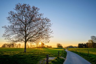 Renkli bir sabahki manzaranın panoramik görüntüsü, Bergisches Toprakları, Odenthal, Almanya