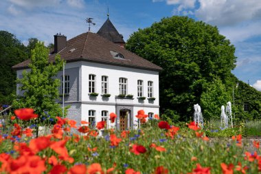 ODENTHAL, ALMANY - 25 Mayıs 2022: Odenthal köyünün Townhall 'ı, 25 Mayıs 2022' de Bergisches Land, Almanya 'da gelincik tarlası ile birlikte