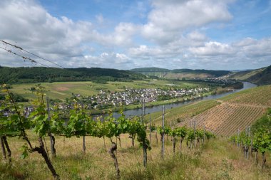 Traben Trarbach, Almanya yakınlarındaki Moselle nehrinin panoramik görüntüsü