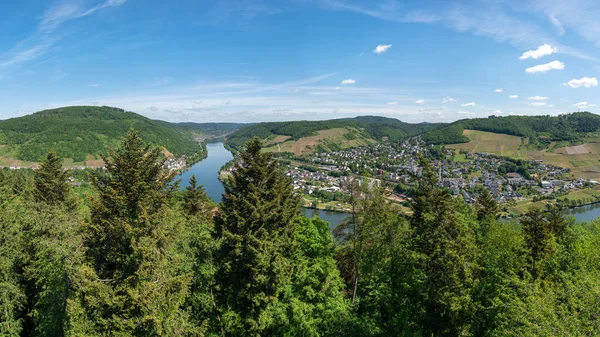 Panoramatický Výhled Obec Puenderich Řekou Moselle Německo — Stock fotografie