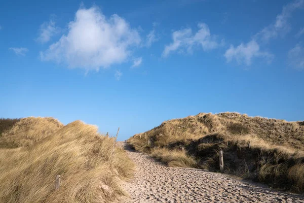 青空に対する砂丘のパノラマ画像 シルト 北フリジア ドイツ — ストック写真