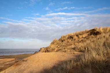Panoramic image of the landscape along shore of Sylt, North Frisia, Germany 