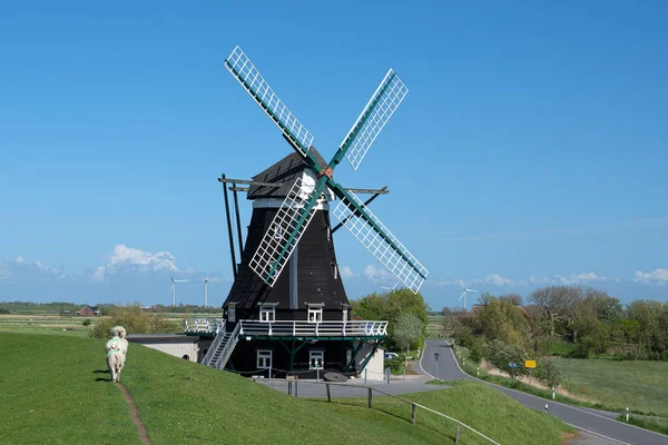 Panoramic Image Windmill Pellworm Blue Sky North Frisia Germany — Stockfoto