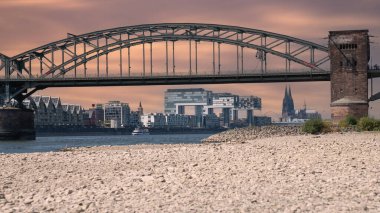 Köln 'deki Ren Nehri' nin alçak suları, Almanya 'da kuraklık.