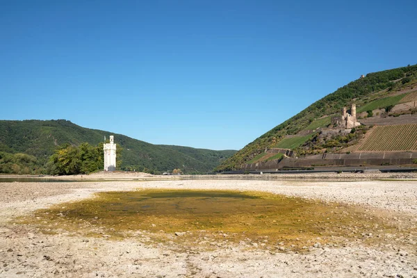 Bingen Germany August 2022 Drought Germany Low Water Rhine River — Fotografia de Stock