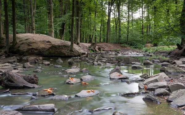 Panoramabild Eines Idyllischen Baches Der Herbstzeit Bergisches Land — Stockfoto