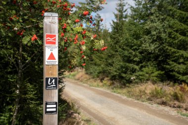 WILLINGEN, GERMANY - 22 Eylül 2022: Rothaarsteig uzun mesafe yürüyüş yolunun işareti 22 Eylül 2022 'de Willingen, Sauerland, Almanya