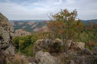 Willingen, Sauerland, Almanya yakınlarındaki Rothaar Dağları 'nın güzel manzarası. 