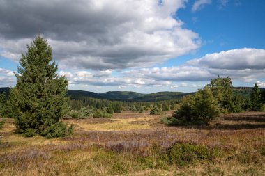 Willingen, Sauerland, Almanya yakınlarındaki Rothaar Dağları 'nın güzel manzarası. 