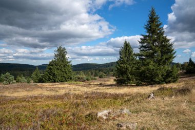 Willingen, Sauerland, Almanya yakınlarındaki Rothaar Dağları 'nın güzel manzarası. 