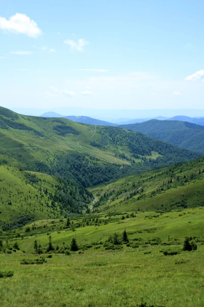 Valle della montagna — Foto Stock