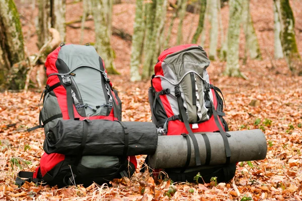 La mochila está en las hojas . — Foto de Stock