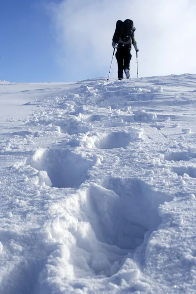 Caminhada de inverno . — Fotografia de Stock